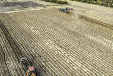 Valorisation des cendres