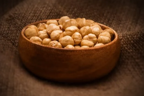 La culture de noisetier dans le Bas-Saint-Laurent